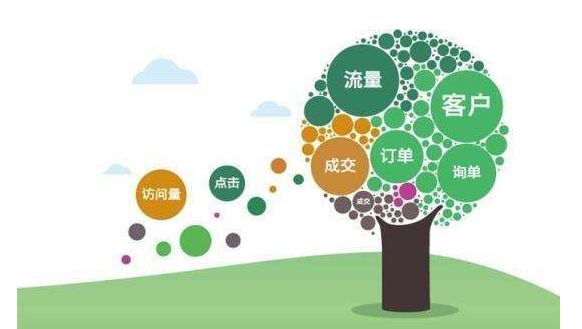 网站内容烂还能上首页的原因